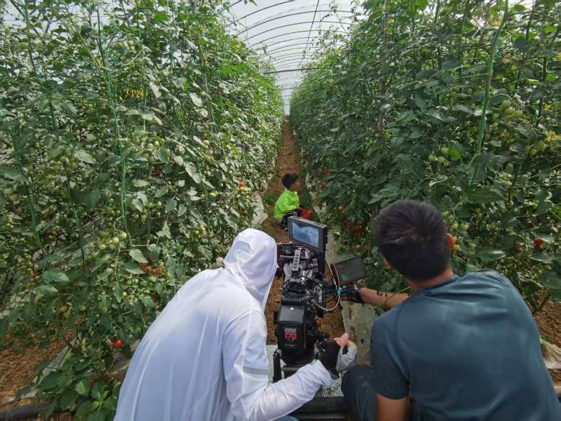 西市区产品宣传视频拍摄公司进阶指南，助力品牌抢占传播高地